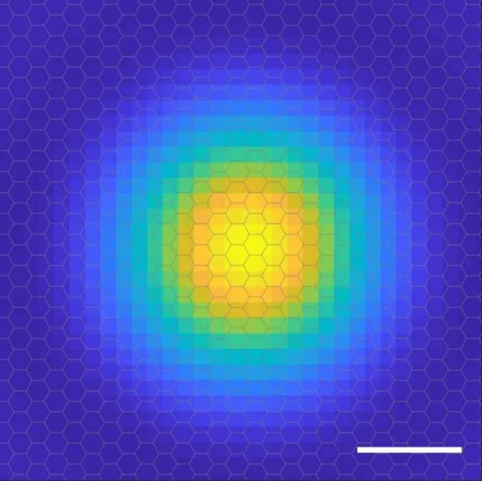 Céad bliain tar éis é a fháil amach, tá an íomhá fithiseach leictreon de excitons glactha ag daoine den chéad uair